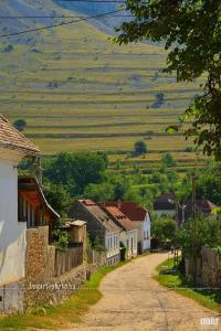 a small village with houses and a dirt road at Casa Kővár Vendégház in Rimetea