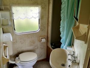 a bathroom with a toilet and a sink and a window at Domek Samanta in Grzybina +4 photos