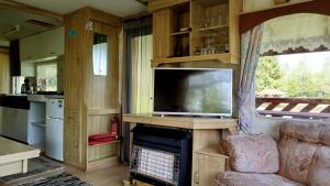a living room with a tv and a fireplace at Domek Samanta in Grzybina