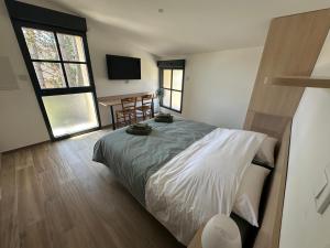 a bedroom with a bed and a desk in it at Appartement PICHOLINE in Saint-Sorlin-en-Bugey