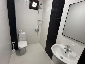 a bathroom with a sink and a toilet and a mirror at Hotel Sunny Coast in Kobuleti