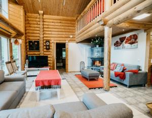 a living room with couches and a tv and a fireplace at Ollinmäki Vineyard in Anttola