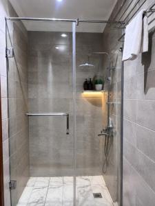 a shower with a glass door in a bathroom at Aziz Egypt Hotel in Cairo