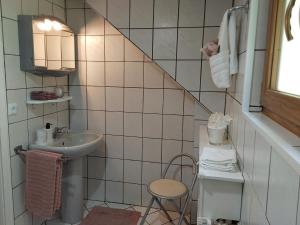 a small bathroom with a sink and a mirror at Eifel Waldhaus in Simmerath