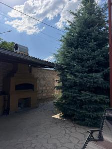 a large pine tree standing next to a building at Blue Garden in Nor Hachyn
