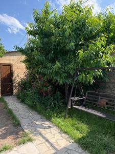 a bench under a tree next to a building at Blue Garden in Nor Hachyn +2 photos