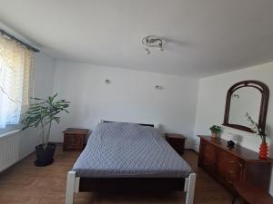 a bedroom with a bed and a mirror in a room at U Podnóża Gór in Nowa Ruda