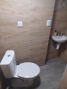 a bathroom with a white toilet and a sink at Rekreačná chata TERASA in Železničná Stanica Šiatoroš