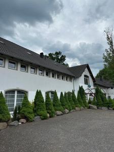 a white house with a row of christmas trees at Viktorjan in Raszowa +48 photos