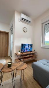 a living room with a bed and a tv and tables at Apartman Jakovljević in Gornja Toplica
