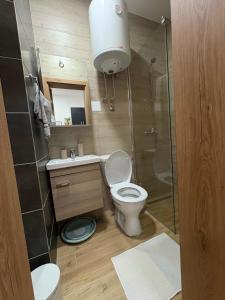 a small bathroom with a toilet and a shower at Apartman Jakovljević in Gornja Toplica +10 photos