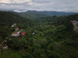 an aerial view of a forested hill with a road at Cabaña El Cafetal in Valle Hornito +13 photos