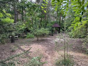 a park with a gazebo in the middle of a forest at Leśna Chata Arciechów in Arciechow