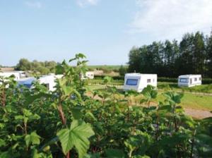 Zahrada ubytování camping de la mottelette