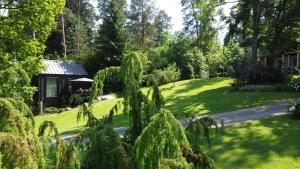 a view of a yard with a house and trees at Pine Nook in Ogre