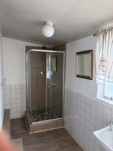 a bathroom with a shower and a sink at Formule 11 in Frankfort