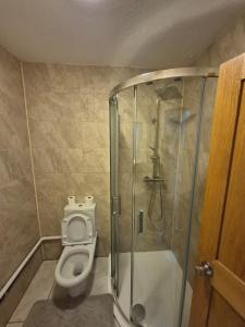 a bathroom with a shower and a toilet with a glass shower stall at Quiet and professional friendly in Cardiff