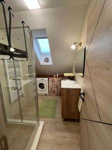 a bathroom with a sink and a washing machine at Fenyves Appartman in Pécsely +11 photos