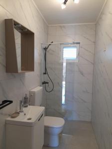 a bathroom with a shower and a toilet and a sink at Villa Marina in Poljica +4 photos