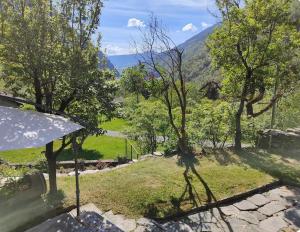 a view of a garden with an umbrella and trees at Rustico Cascina Val Malvaglia in Malvaglia