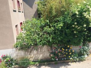 a bunch of flowers in a garden next to a building at l'oasis de paix in Dijon