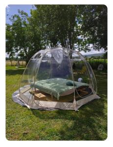 a tent on the grass in a field at Les pieds dans l'eau Tente transparente in Fleurville