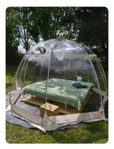 a bed in a dome tent in the grass at Les pieds dans l'eau Tente transparente in Fleurville