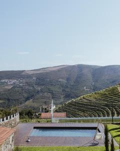 a swimming pool in the middle of a vineyard at Provesende Douro Villas - Casa Principal in Provesende