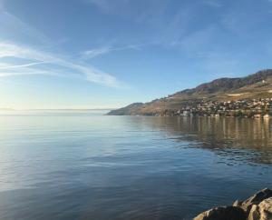 a view of a large body of water at Lake Studio in La Tour-de-Peilz +2 photos