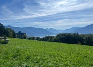 a bench in a field with a view of a lake at Lake Studio in La Tour-de-Peilz