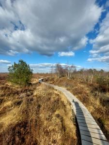 a path in a field with a cloudy sky at Au Cerf & Fagnes in Spa