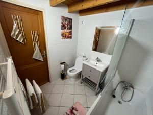 a small bathroom with a toilet and a sink at Pets Home by Oxyne in Louches +14 photos