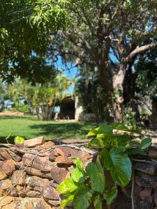 a stone wall with a tree in the background at Pousada e Camping Sá Zabé in Rio de Contas