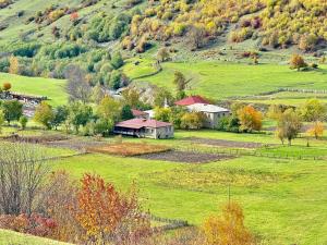 a farm in the middle of a grassy field at Madisha's Guesthouse in Mestia