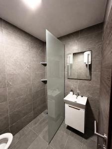 a bathroom with a sink and a toilet at Vila Šarić in Doglodi +12 photos