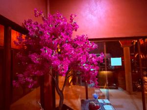 a vase filled with pink flowers on a table at Hotel Estancia Bugambilias in San Diego de la Unión +1 photo
