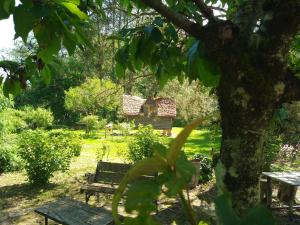 a park with a bench and a tree at La cabane de Moïra in Xertigny