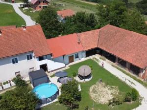an aerial view of a house with a swimming pool at Apartma Minka in Miklavž pri Ormožu