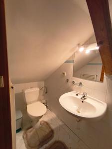 a bathroom with a toilet and a sink at Pension V Doubí in Slavče