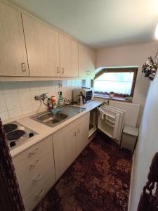 a small kitchen with a sink and a microwave at Pension V Doubí in Slavče