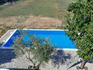 an overhead view of a blue swimming pool with two trees at Apartman Maga in Čapljina