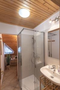 a bathroom with a glass shower and a sink at B&B Na Kluk in Idrija +71 photos