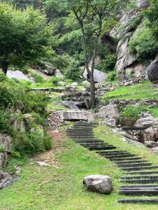 a set of stone steps on a hill with trees at Dazzlday in Seoul
