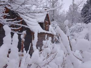 a cabin covered in snow next to a tree at La cabane de Moïra in Xertigny +9 photos
