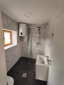 a bathroom with a shower and a sink at Roman Paradise Villa with Pool in Koper