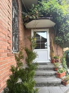 a front door of a brick house with potted plants at ЭКО готель ,,Челентано ,, in Slavuta