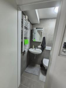 a bathroom with a sink and a toilet at Nektarioss in Kernen +8 photos