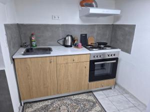 a small kitchen with a stove and a sink at Nektarioss in Kernen