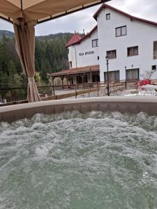 a pool of water in front of a building at Vila Apuseni in Arieşeni