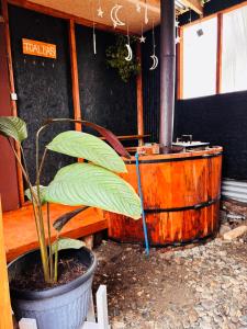 a plant in a pot next to a wooden tub at Cabañas y tinajas in Ancud
